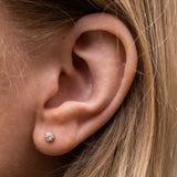 Golden Wilma Studs
